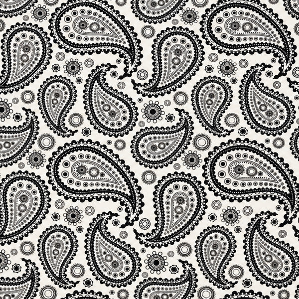 Mandala Moon Paisley