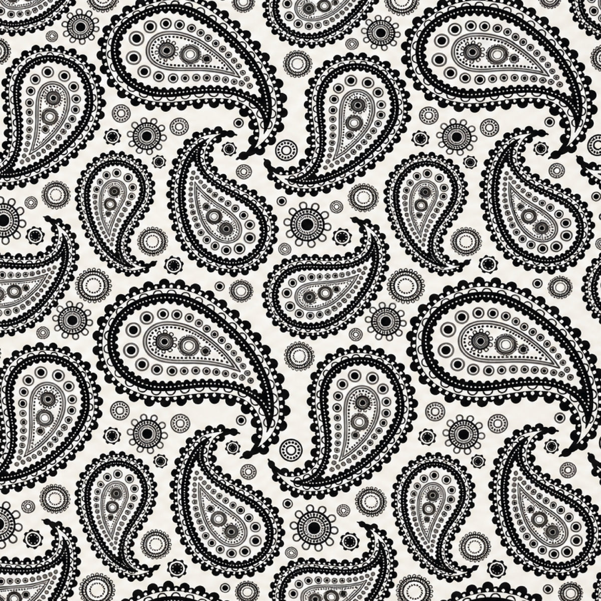 Mandala Moon Paisley