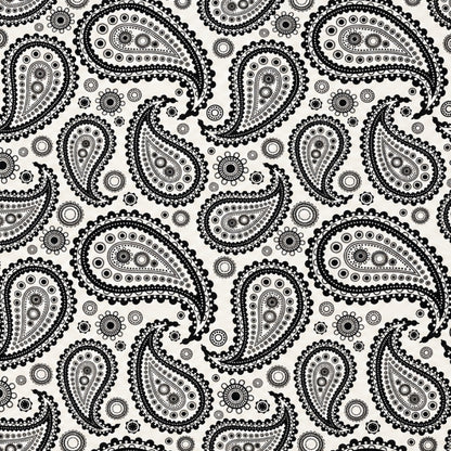 Mandala Moon Paisley